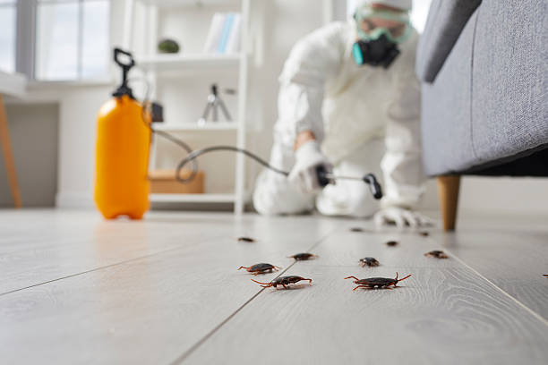 Trusted Cockroach Control service in Rodney Village, DE - Nex Pest Control