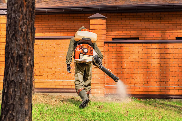 Trusted Bed Bug Control service in Rodney Village, DE - Nex Pest Control